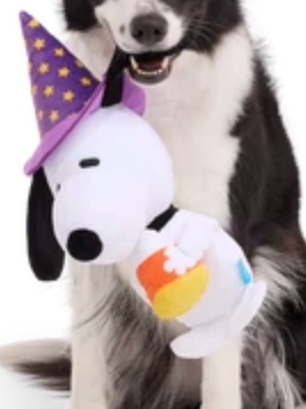 Bark Box Peanuts Snoopy Halloween Costume XL Dog Toy NEW Witch Snoopy